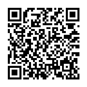 厉倾城走到墙角的一个上锁的柜子里打开保险柜二维码生成