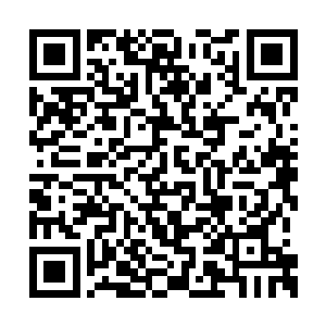 厉嘉陵在李耀的手腕晶脑上插入一枚特殊的晶片二维码生成