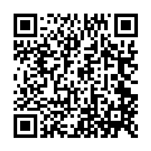 厉嘉陵指着李耀花花绿绿的衣服和夹脚蓝白拖说二维码生成