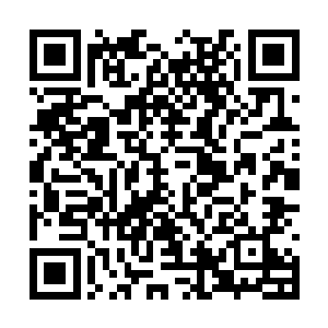 厉天行估计得半个月才能回贝塔星或者时间更长点二维码生成