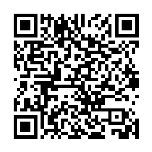 厉害到了巨石堂长老都亲自下令短时间之内不要惹你的地步二维码生成