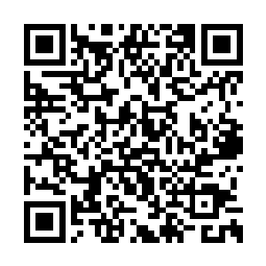 厉新年刚才说秦倚天像年轻时候的自己――那么二维码生成