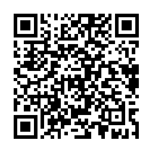 厉灵海那些帝国修仙者也会偷偷摸摸组成秘密小队二维码生成