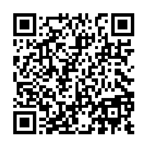 厉王府里的厨子比皇宫里的御厨做的饭菜还要好吃二维码生成