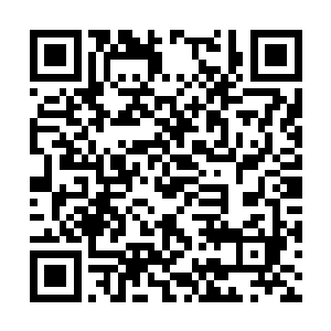 压垮骆驼的最后一根稻草是先前城头上的那位小将二维码生成