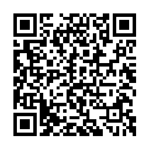 压根不是他这种安于富贵的权贵子弟来玩的地方二维码生成