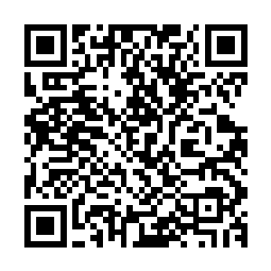 压根就不信他爹会扔掉他的巫果接着又放出了一个更大的炸弹二维码生成