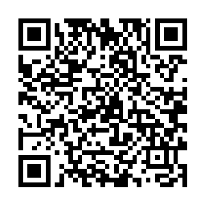 厕所传过来的味道让这一顺到了夏夭味道就格外浓烈二维码生成