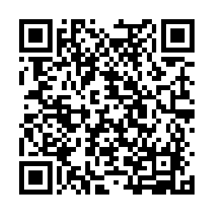 原主前世就是因为他们对唐佳太过娇宠纵容的结果二维码生成
