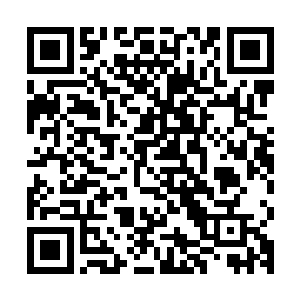 原主的生命在路人乙之前以及遇到风萧萧之后的记忆都是空白的二维码生成