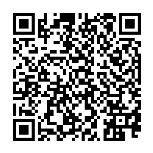 原主选择玩家大多是根据在那个世界上显示出来的那些事务所的介绍排名什么的二维码生成