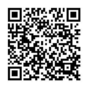 原以为八枚成罡境巅峰的妖核能帮我一举达到兵甲境巅峰二维码生成
