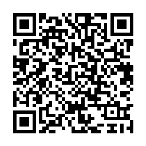 原先的烂尾楼小区以及别墅区也都变得更加热闹了二维码生成