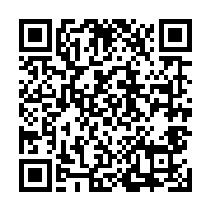 原先还空无一物的地面上此时已经爬满了密密麻麻的东西二维码生成