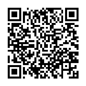 原先都是凝聚在掌心的雷法此刻却是汇聚在眉心脉络二维码生成