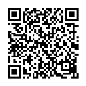 原因是少施慧这时候双目已经竟是死气沉沉的了二维码生成