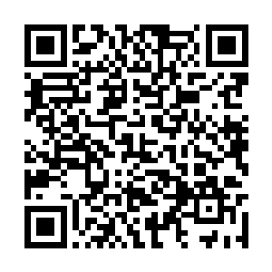 原帝平时老跟人打架也许都是因为有人要抢他弟弟二维码生成