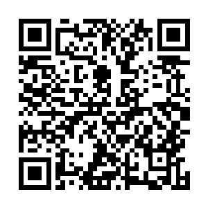 原想了一下紫烟空间内的那棵建木是种植在一个平原之上二维码生成