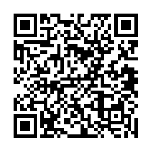 原战之前也因严默要求配制过一些具有特别成分的土壤二维码生成