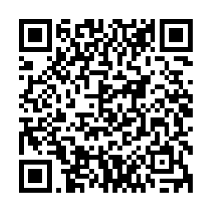 原战在看到鲲雪峰的第一眼就感觉出对方的实力和他不相上下二维码生成