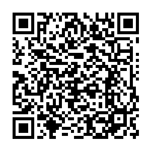 原战当即命令九原工程队提前过去在小树林和溪水边建造简易房屋二维码生成