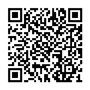 原战正想着要怎么不惊动有角人的毁坏这些骨兵二维码生成