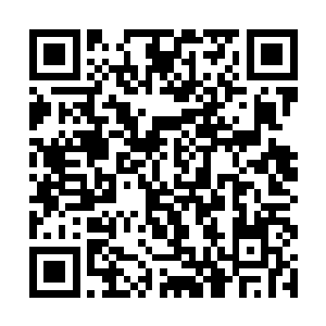 原战看着那座高大的用各种新鲜骨头搭建而成的骨塔二维码生成