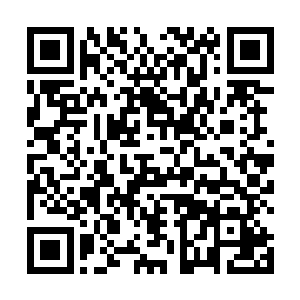 原本一个个已经没有精神的妖兽们一下子就兴奋起来了二维码生成
