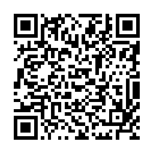 原本一直头朝下旋转坠落的小飞机在尾翼的干扰下翻了个面二维码生成