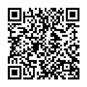 原本一直想呆在房间里不理会我们的丁总两口子终于受不了了二维码生成