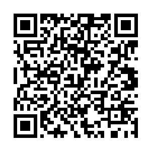 原本一直看起来都不显山不露水的天算子和刘宝鑫二维码生成