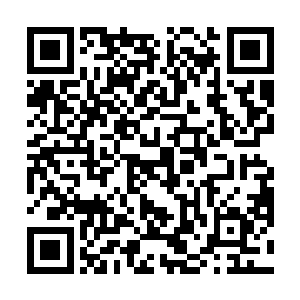 原本一脸绝然跪于地上的东方玉兰在听到紫千幻的话时二维码生成