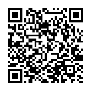 原本三十多岁的他此时看起来竟然和徐院长一样苍老二维码生成
