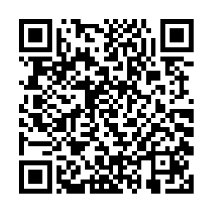 原本下去疗伤的东逸君百和曹克勤忍不住的走了出来二维码生成