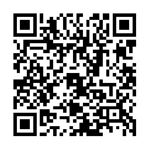 原本不断上前的黑色漩涡在感受到林烽身上的威压之后二维码生成