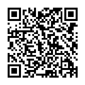 原本不温不火的焚天圣莲骤然间爆射出一道恐怖的气息二维码生成