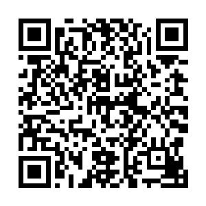 原本不知是死是活的食梦虫王竟发出如悦耳歌声般的鸣叫二维码生成