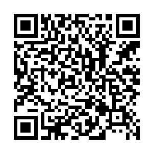 原本不知道什么时候起遮蔽他们视线和感知的迷雾已经散去二维码生成