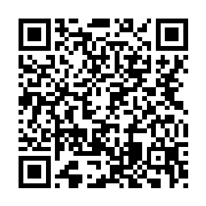 原本与她对话的几个人突然像被按了暂停键一般二维码生成