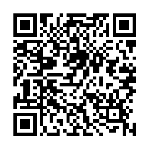 原本主跟在后头的忘川黄泉二人见状立即也找了马追着过去二维码生成