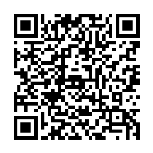 原本之前因为封印千灵就迸开过空间裂缝的万摩岭二维码生成