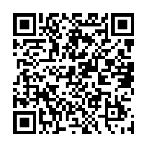 原本他们两个家族觉得封锁呼啸山脉会对自己家族非常有利二维码生成