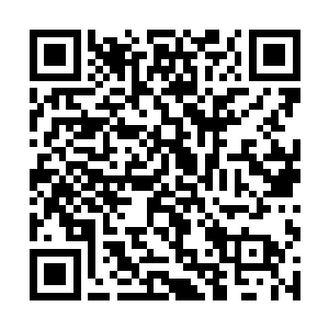 原本他们十二远古天尊因为从许紫烟那里学习了阵法二维码生成