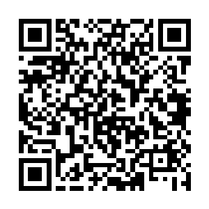 原本他们只是因为江少游在海里游动的速度实在太快二维码生成