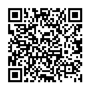 原本他们在发现龙傲天的修为之后就已经有些震惊了二维码生成