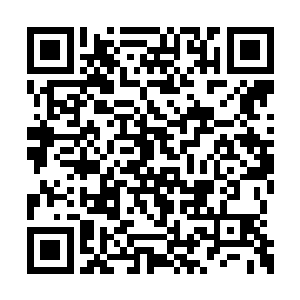 原本他发现夏天可以对抗地级大圆满高手的时候二维码生成