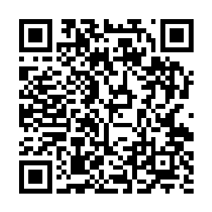 原本他对林铭百年之内挑战造化圣子的做法嗤之以鼻二维码生成