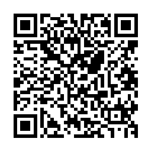 原本他是怀着喜悦的心情来巴黎参加一个服装品牌的发布活动二维码生成
