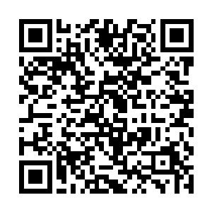 原本他是想要利用这里的训练好好的羞辱一下夏天的二维码生成