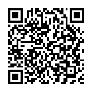 原本他是打算提供一些东西用来跟陆红提换取武功秘籍的二维码生成